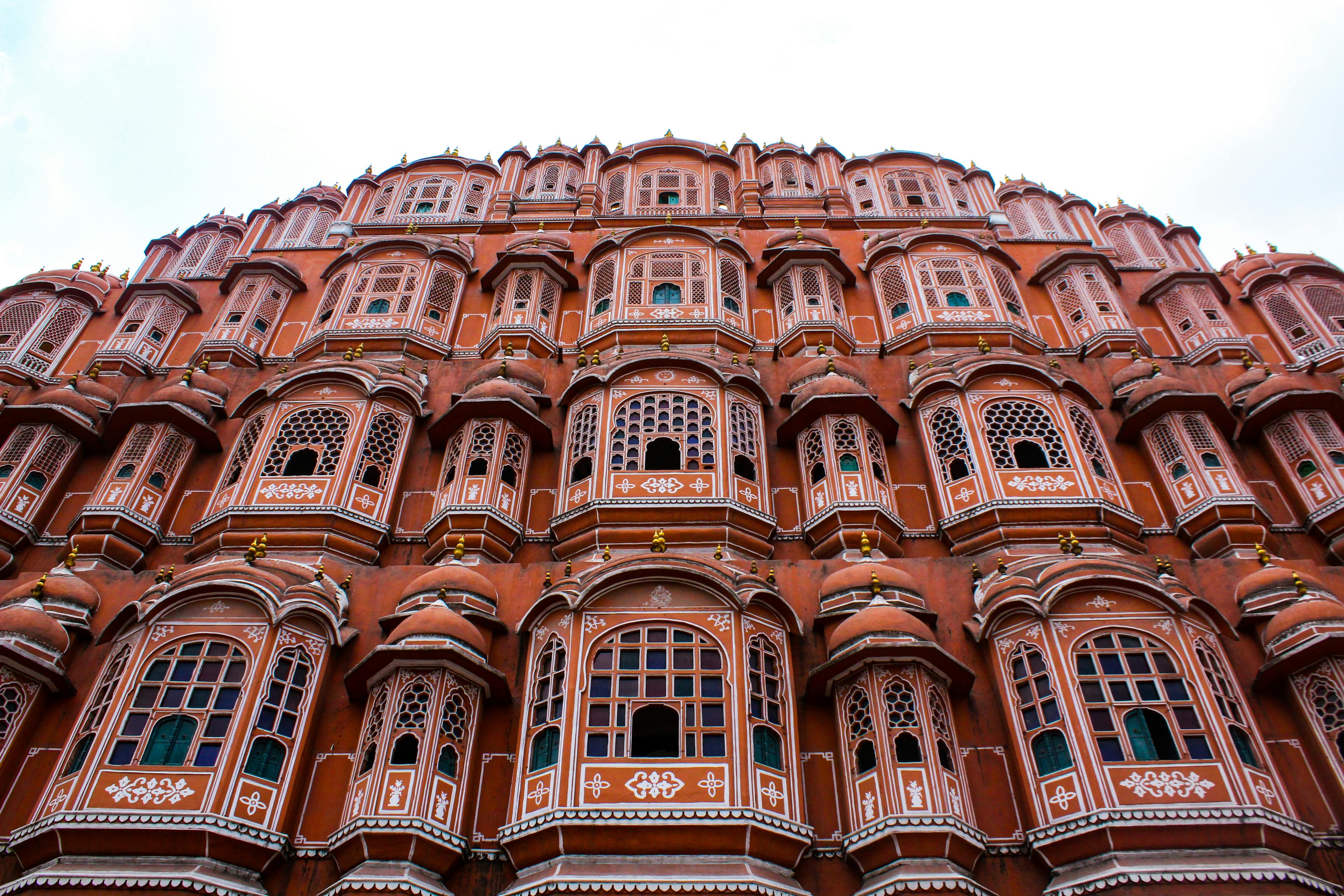 Jaipur image